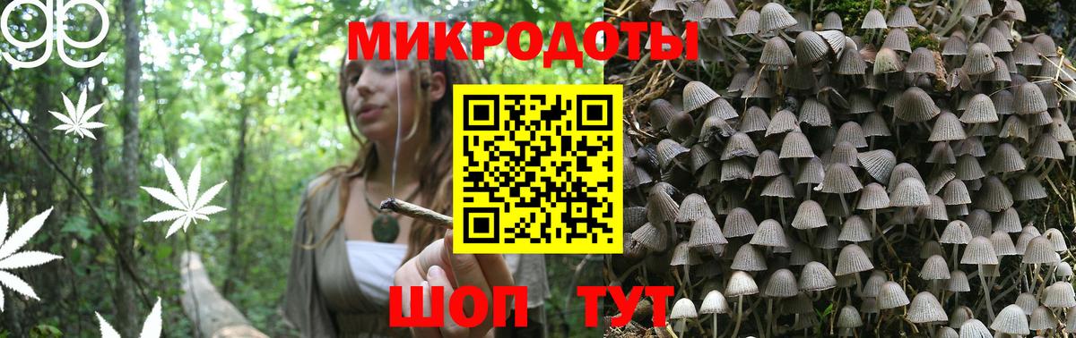 Галлюциногенные грибы прущие грибы Советский