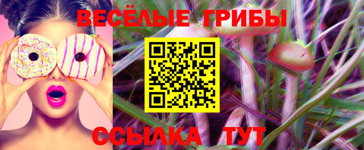 Галлюциногенные грибы Psilocybe  Вход с VPN  Галлюциногенные грибы Cubensis  Советский 